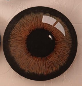 Claudia Joost Auge braun Acryl auf Leinwand