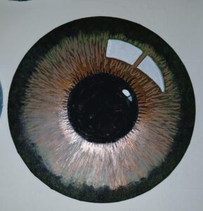 Claudia Joost Auge grün braun Acryl auf Leinwand
